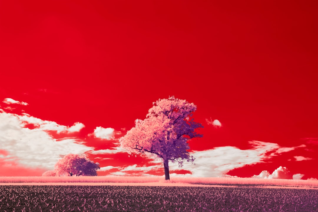 Vitalik posts 10k-word iO obfuscation tech tree